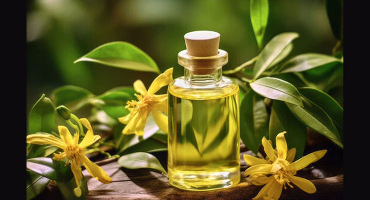 Ylang ylang flower massage oil